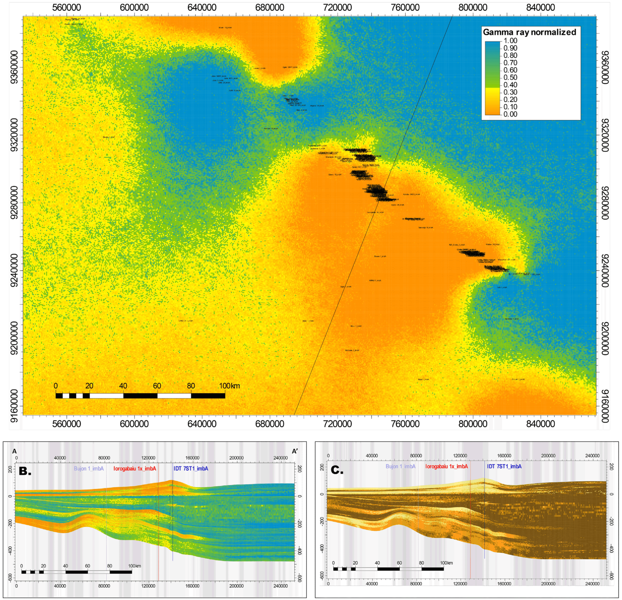 XENON Oil Search Case Study