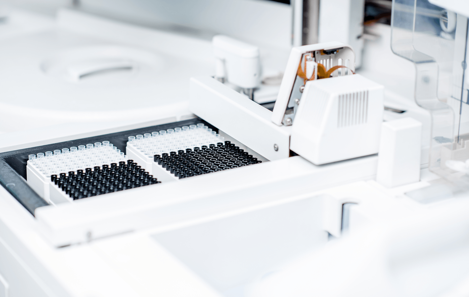 XENON GARVAN Case Study