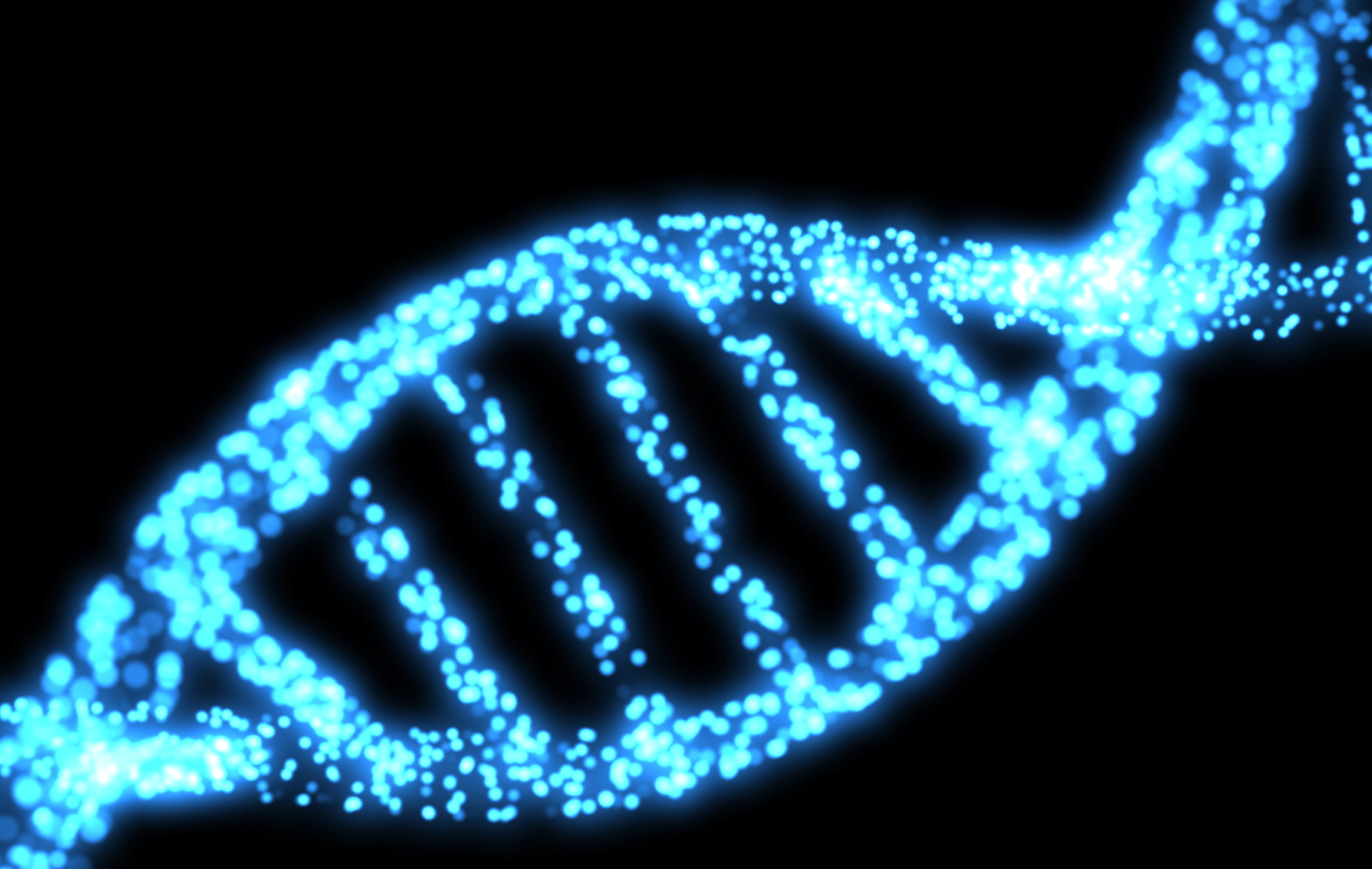 XENON GARVAN Case Study
