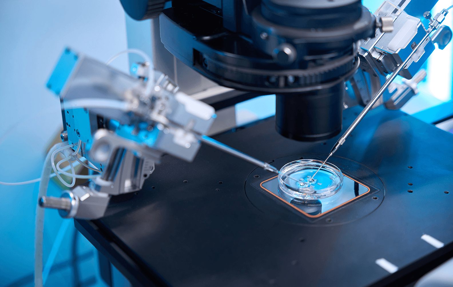 XENON CSL Case Study