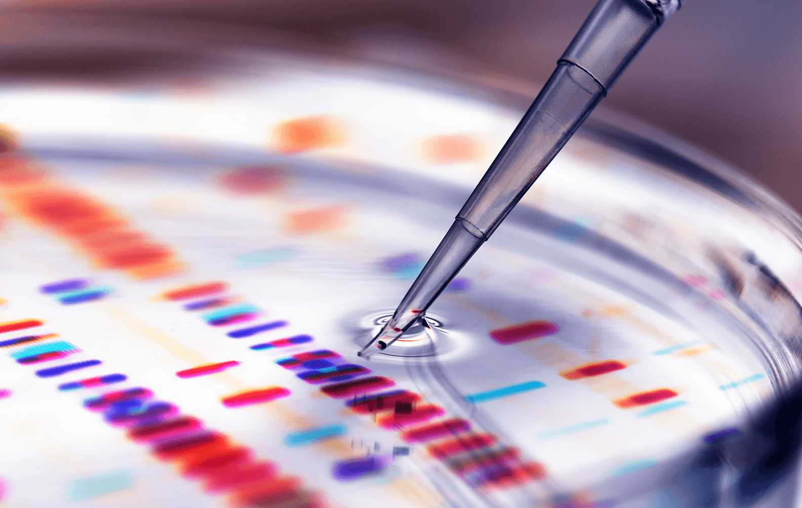 XENON CSL Case Study