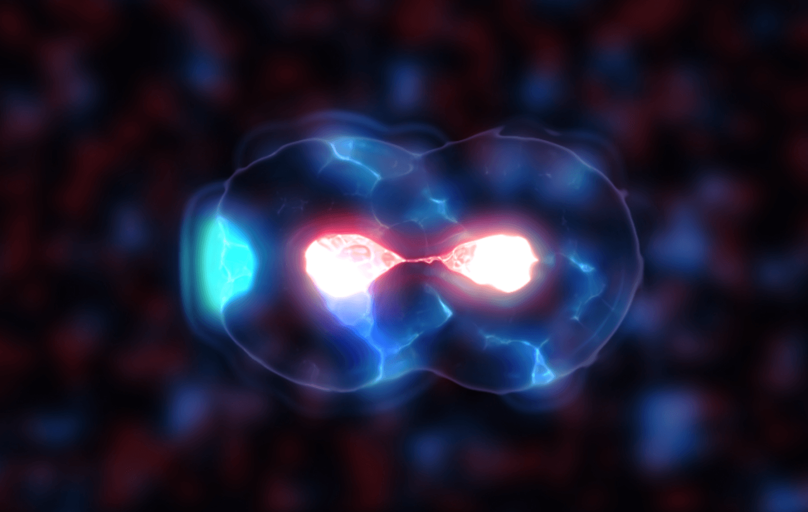 XENON CSL Case Study banner