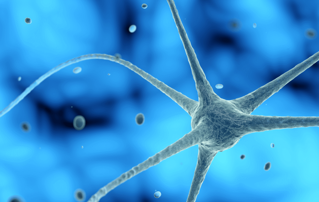 XENON Artificial Intelligence and Medical Imaging banner