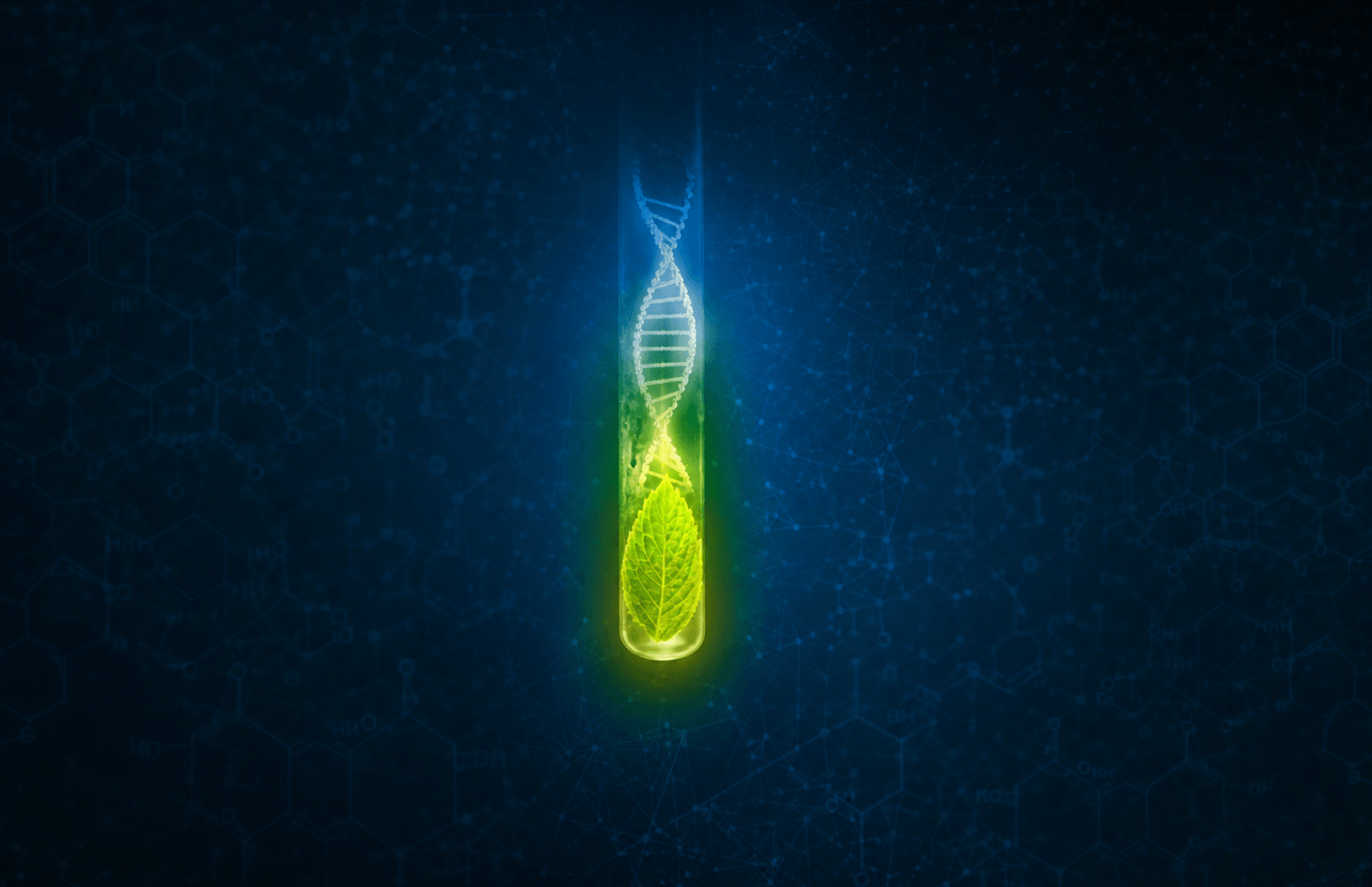 XENON AGRF Case Study banner