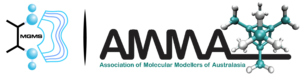 MGMS-AMMA logo